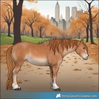 Horse Color:Chestnut  and Chestnut 