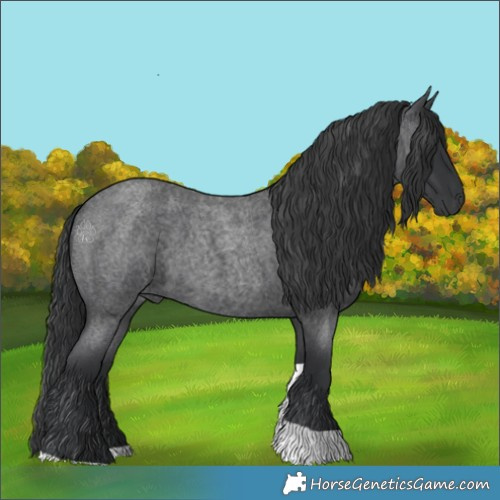 Horse Color:Blue Roan Tobiano Rabicano 