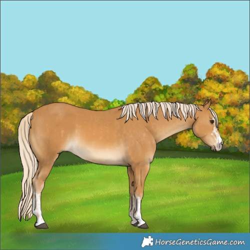 Horse Color:Palomino  and Palomino 