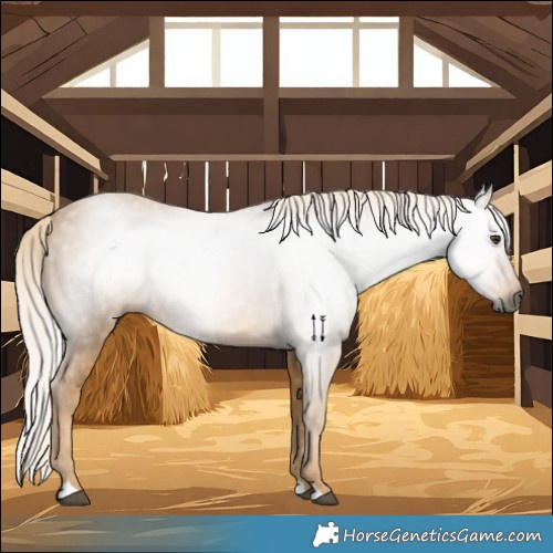 Horse Color:Gray Palomino 