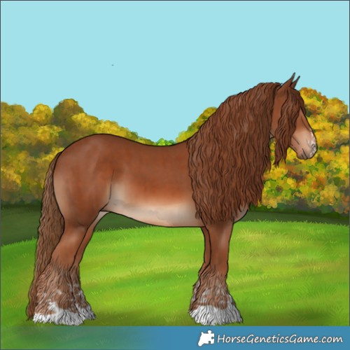 Horse Color:Chestnut  and Chestnut 