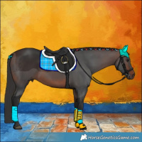 Horse Color:Brown 