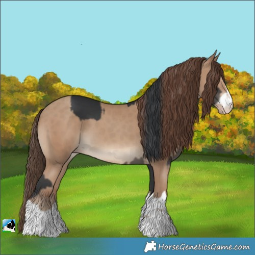 Horse Color:Black  and Classic Champagne 