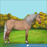 Horse Color:Silver Bay Dun 