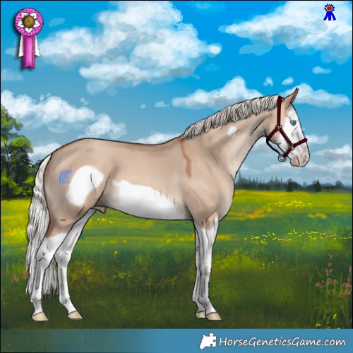 Horse Color:Silver Sable Champagne Dun Splash Frame 