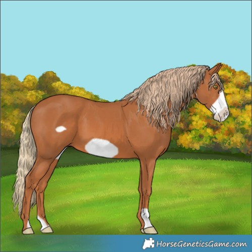 Horse Color:Chestnut Frame 