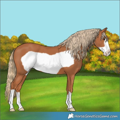 Horse Color:Chestnut Frame 