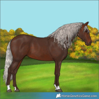 Horse Color:Silver Brown 