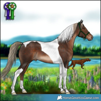 Horse Color:Liver Chestnut Tobiano 