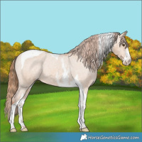 Horse Color:Red Dun Sabino Tobiano Varnish
