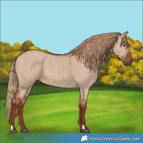 Horse Color:Red Dun 