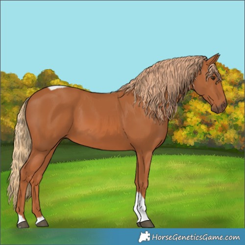 Horse Color:Chestnut Tobiano 