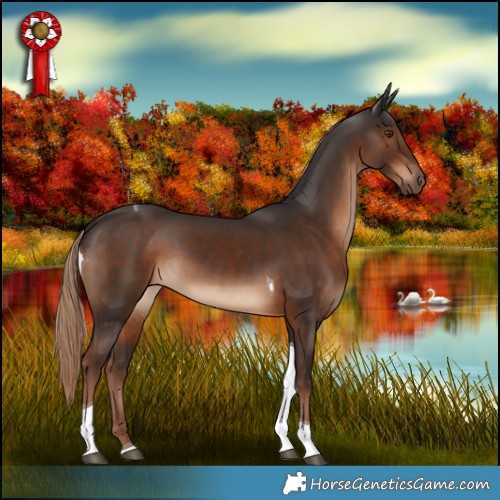 Horse Color:Liver Chestnut Tobiano 