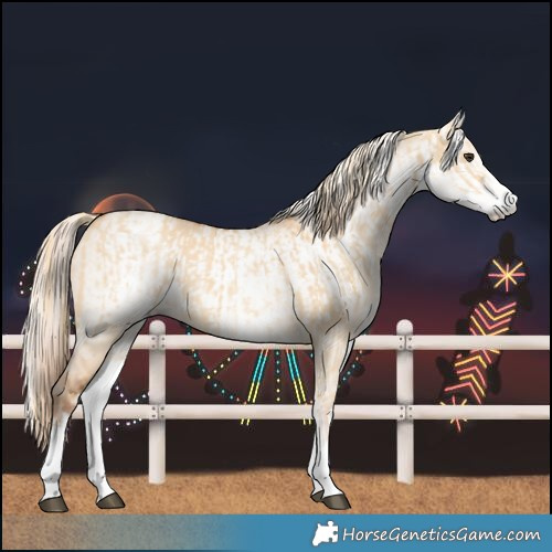 Horse Color:White Spotted Red Dun Rabicano  and Gray White Spotted Red Dun Rabicano 