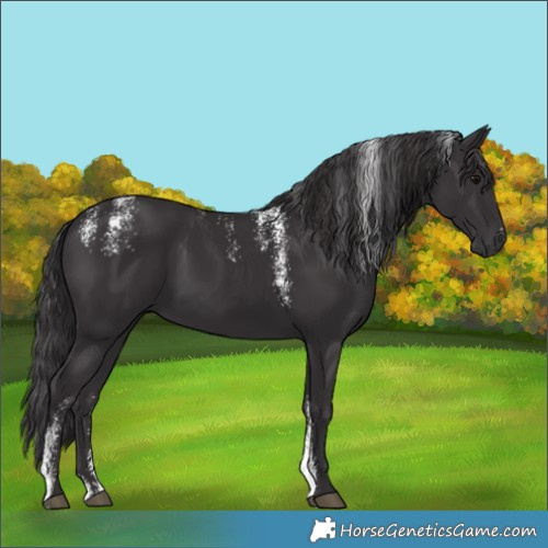 Horse Color:Powder White Smoky Black 