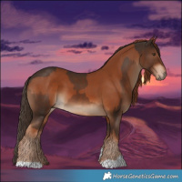 Horse Color:Chestnut  and Liver Chestnut 