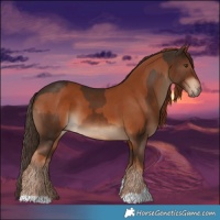 Horse Color:Chestnut  and Liver Chestnut 