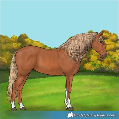 Horse Color:Chestnut Tobiano 