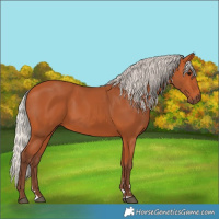 Horse Color:Silver Bay 