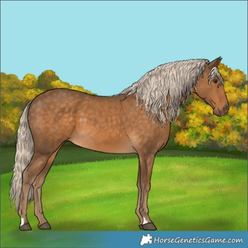 Horse Color:Chocolate Palomino