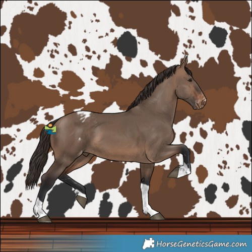Horse Color:Brown Dun Tobiano Varnish 