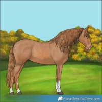 Horse Color:Chestnut Tobiano Varnish 