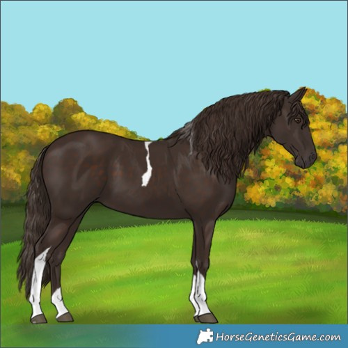 Horse Color:Liver Chestnut Tobiano 