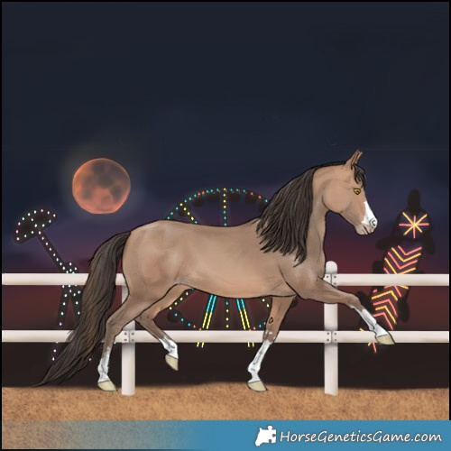 Horse Color:Amber Champagne 