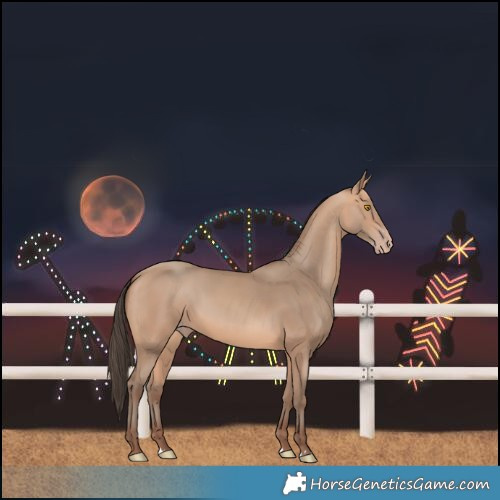 Horse Color:Amber Champagne 