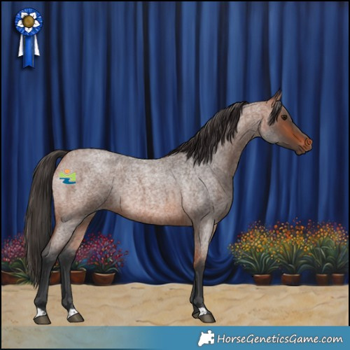 Horse Color:Bay Roan Rabicano