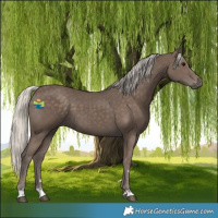 Horse Color:Silver Black