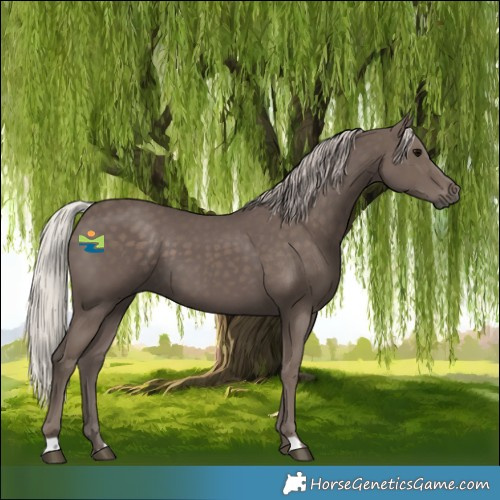 Horse Color:Silver Black 