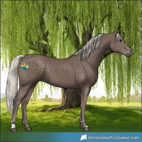 Horse Color:Silver Black 