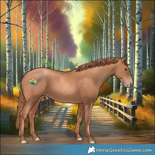Horse Color:Gold Champagne 