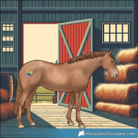 Horse Color:Gold Champagne