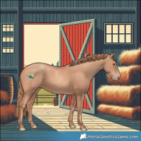 Horse Color:Gold Champagne 