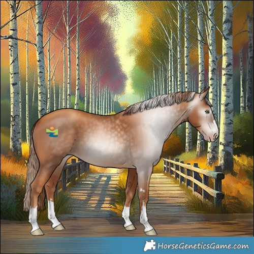 Horse Color:Gray Gold Champagne 