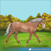 Horse Color:Silver Sable Champagne Frame 