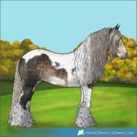 Horse Color:Gray Silver Smoky Black Tobiano Frame 