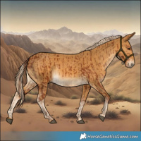 Horse Color:Chestnut  and Palomino 
