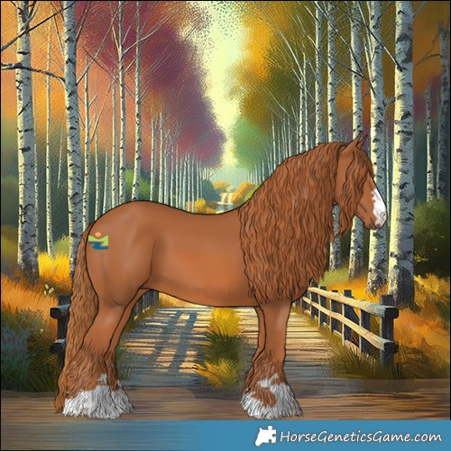 Horse Color:Chestnut 