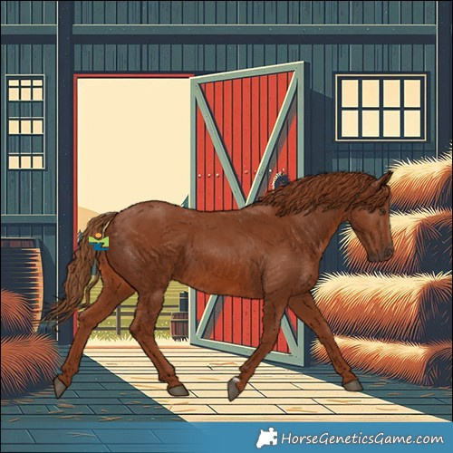 Horse Color:Chestnut 