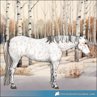 Horse Color:Bay Roan Leopard Rabicano 