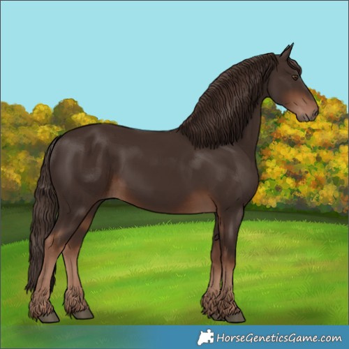 Horse Color:Liver Chestnut 