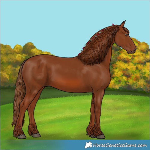 Horse Color:Chestnut 