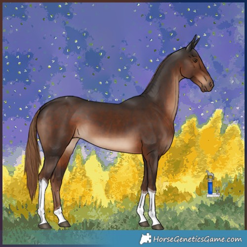 Horse Color:Liver Chestnut Tobiano 