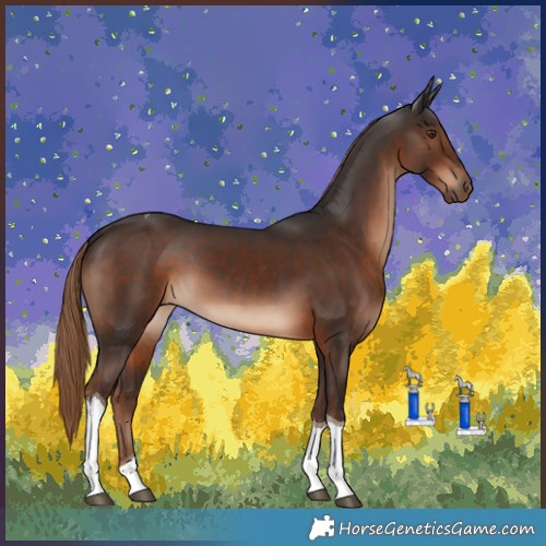 Horse Color:Liver Chestnut Tobiano 