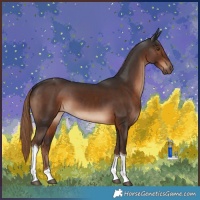 Horse Color:Liver Chestnut Tobiano 