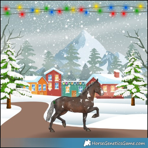 Horse Color:White Spotted Silver Black Sabino 