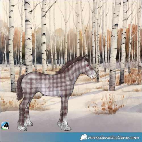 Horse Color:Plaid  Chocolate Brown Chinchilla Sabino Rabicano 